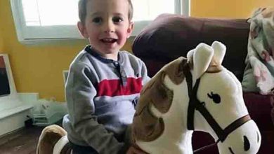 Photo of My Ex-husband Gifted Our Kid a Rocking Horse – When I Saw What Was Inside, I Called My Lawyer