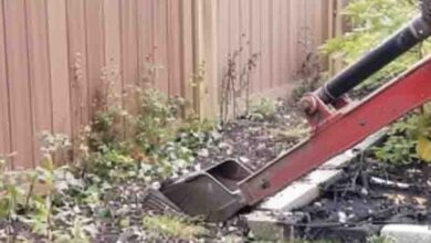 Photo of My Entitled Neighbor Forced Me to Take down My Old Fence – How Karma Got Her Back Is Unbelievable