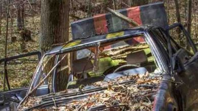 Photo of Man Stunned by Discovery in the Trunk of an Abandoned Car in the Woods