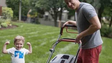 Photo of Single Dad Helps Older Woman Mow Her Lawn, Soon Gets a Call from Her Lawyer