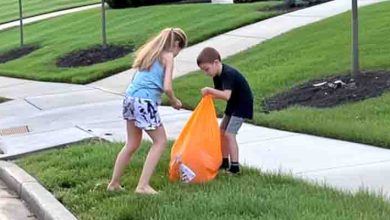 Photo of Neighbor’s Kids Were Cleaning Our Street Every Sunday – When I Found Out What They Were Truly Doing, I Was at Loss for Words