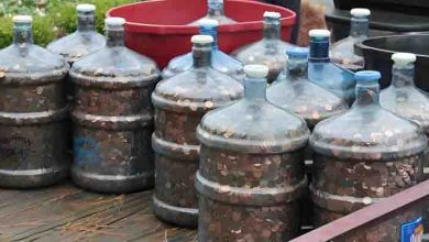 Photo of Man saves coins for 45 years, rolls 15 water jugs into bank and tells teller to deposit ’em all.